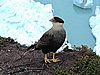 DSCN8118.JPG