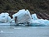 DSCN8130.JPG