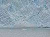 DSCN8166.JPG