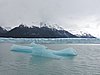 DSCN8181.JPG