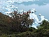 DSCN8186.JPG