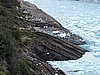 DSCN8192.JPG