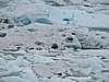 DSCN8194.JPG