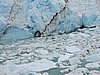 DSCN8213.JPG