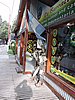 DSCN8238.JPG
