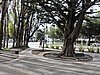 DSCN8239.JPG
