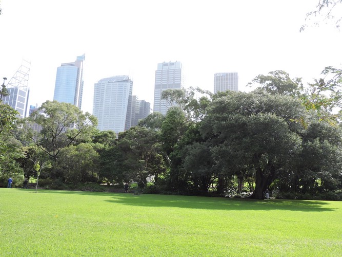 DSCN4671.JPG