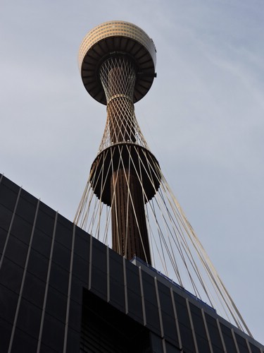 DSCN4785.JPG