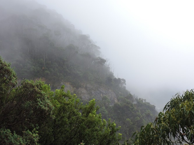 DSCN4960.JPG