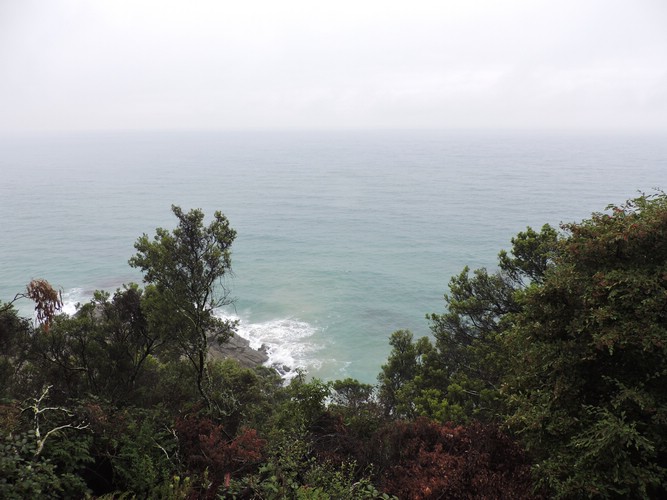 DSCN4961.JPG