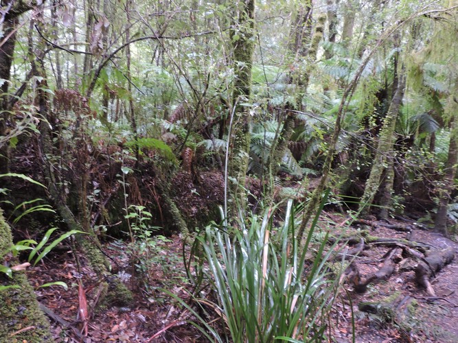 DSCN4970.JPG