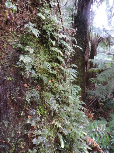 DSCN4972.JPG