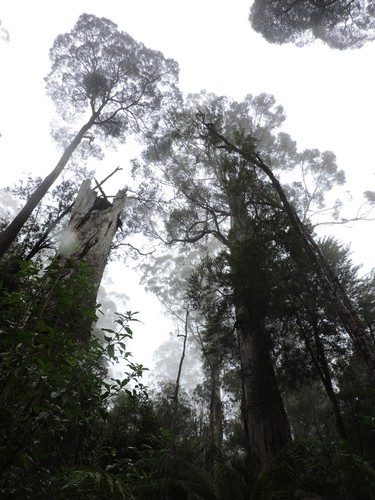 DSCN4980.JPG