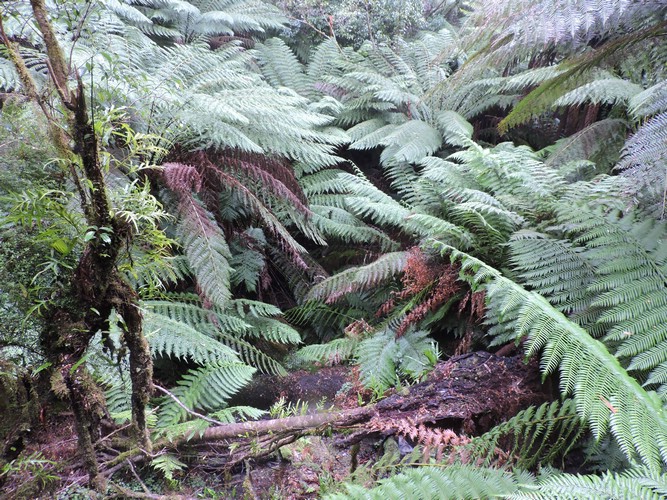 DSCN4981.JPG