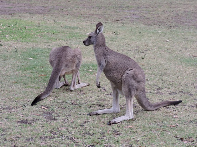 DSCN5066.JPG