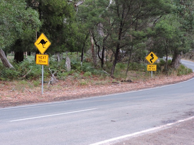 DSCN5070.JPG