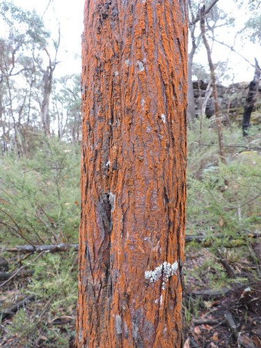 DSCN5091.JPG
