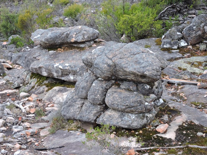 DSCN5095.JPG