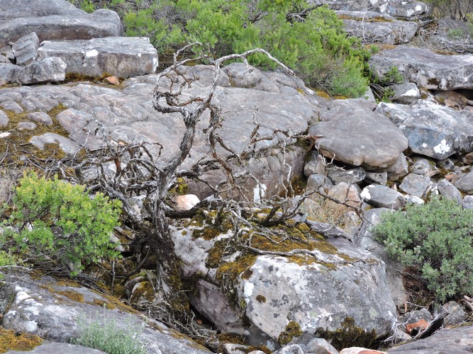 DSCN5099.JPG