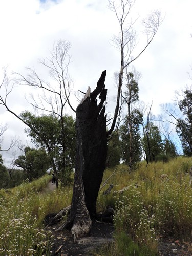 DSCN5120.JPG