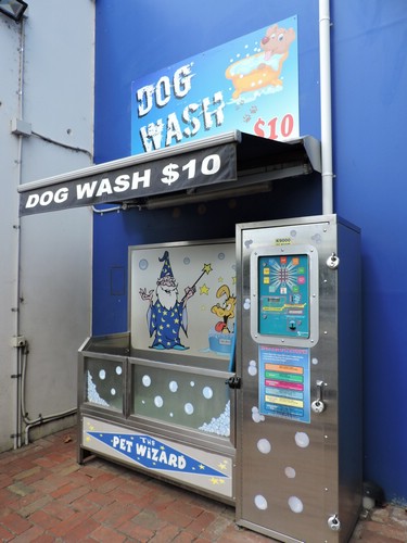DSCN5140.JPG