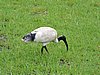 DSCN4659.JPG