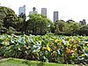 DSCN4669.JPG