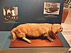 DSCN4699.JPG