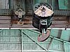 DSCN4733.JPG