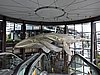 DSCN4775.JPG