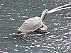 DSCN4794.JPG
