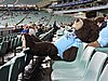 DSCN4816.JPG