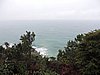 DSCN4961.JPG