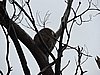 DSCN4966.JPG