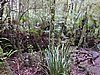 DSCN4970.JPG