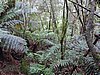 DSCN4971.JPG