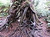 DSCN4973.JPG