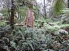 DSCN4974.JPG