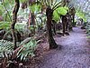 DSCN4975.JPG
