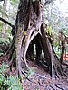 DSCN4976.JPG