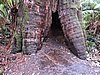 DSCN4977.JPG