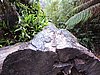 DSCN4979.JPG
