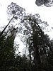DSCN4980.JPG
