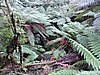 DSCN4981.JPG