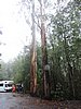 DSCN4982.JPG