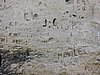 DSCN5013.JPG