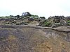 DSCN5017.JPG