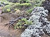 DSCN5020.JPG