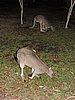 DSCN5025.JPG