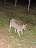DSCN5026.JPG